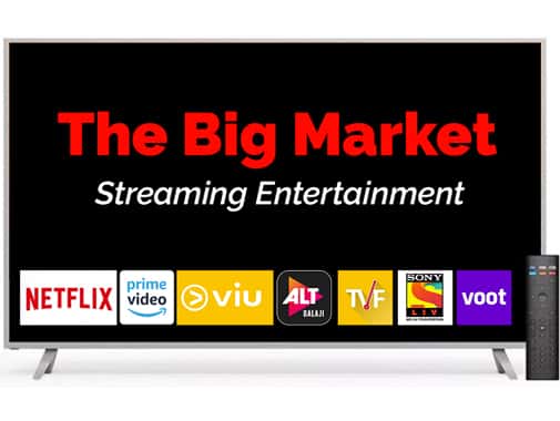 The Rise, Ebb and Flow of Viral Entertainment